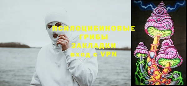 PSILOCYBIN Алексеевка