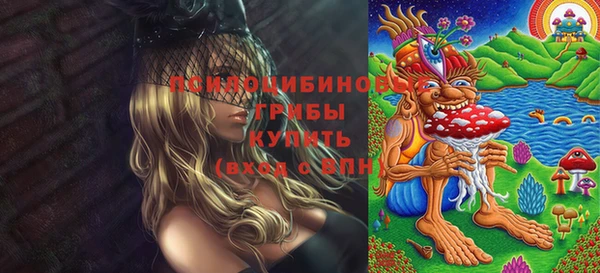 PSILOCYBIN Алексеевка