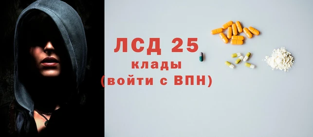PSILOCYBIN Алексеевка