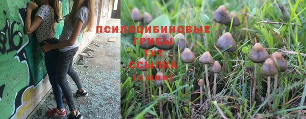 бутират Алзамай