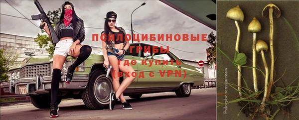 бутират Алзамай