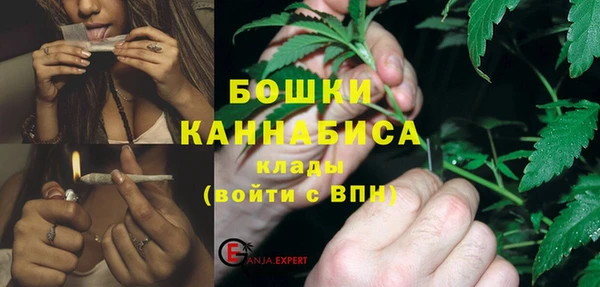 PSILOCYBIN Алексеевка