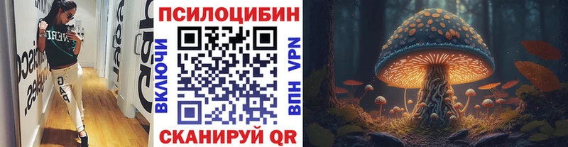 Псилоцибиновые грибы Psilocybine cubensis  сайты даркнета какой сайт  Арзамас 