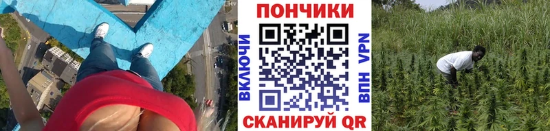 Бошки марихуана план  Арзамас 